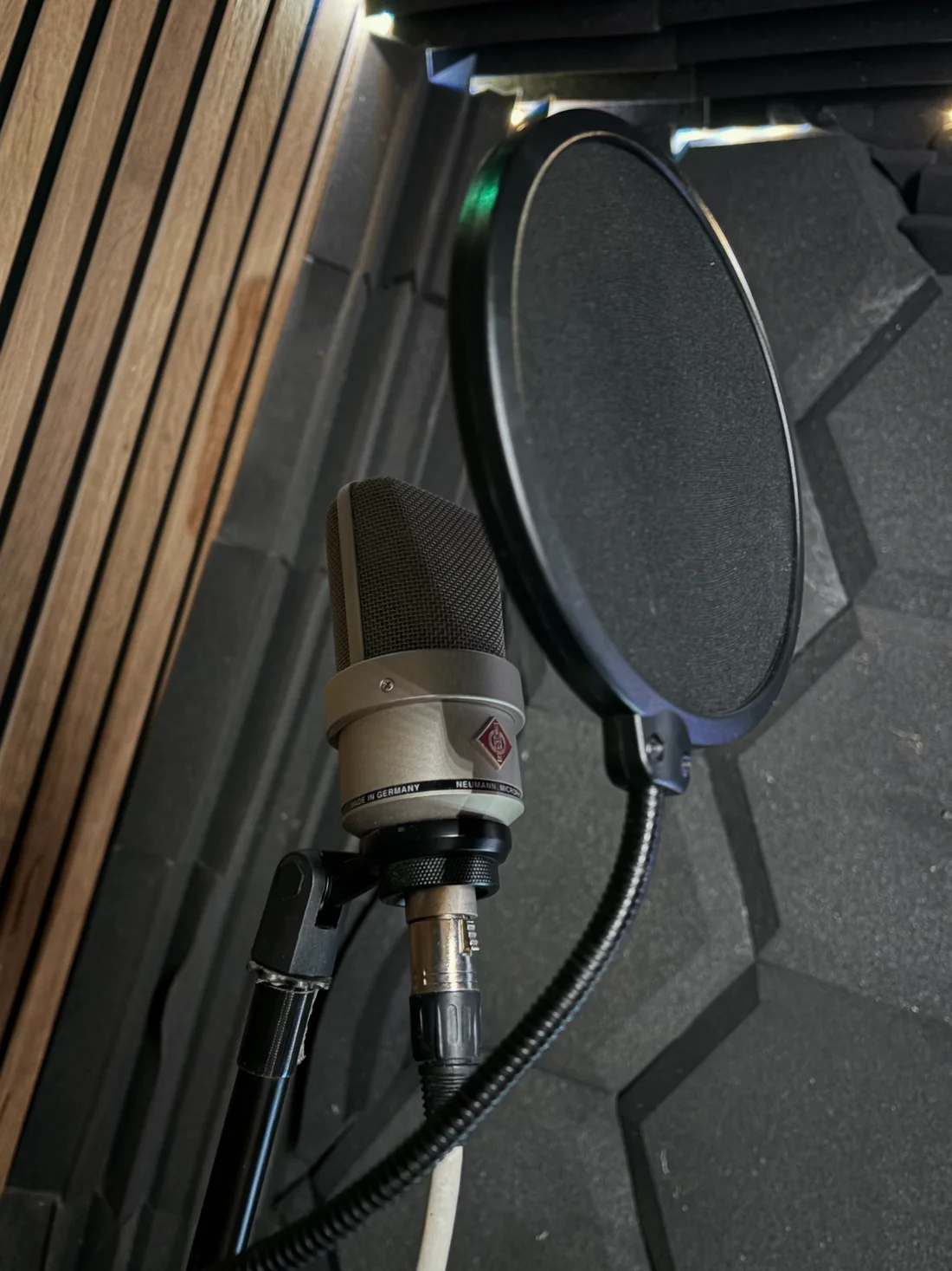 Neumann microphone and pop filter in Jon Wilkins' recording booth